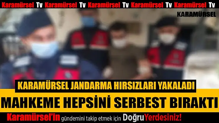 Karamürsel'de yakalanan hırsızların hepsi serbest kaldı