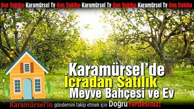 Karamürsel İcradan Meyve bahçesi ve Ev