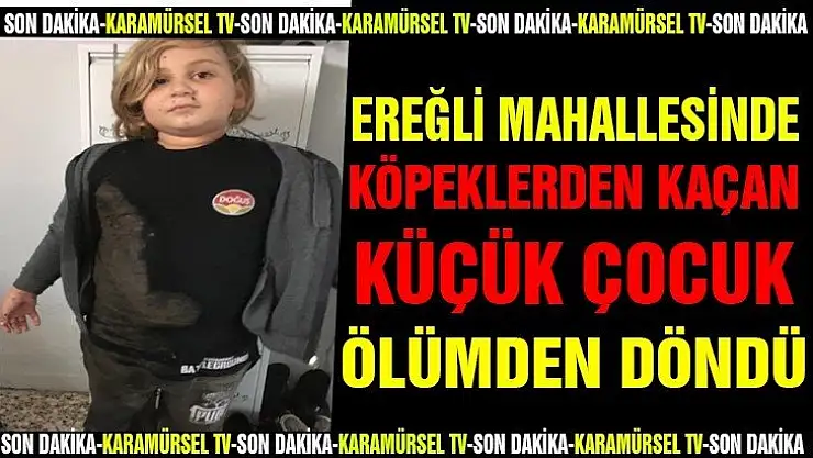 Köpeklerden kaçan küçük çocuk ölümden döndü