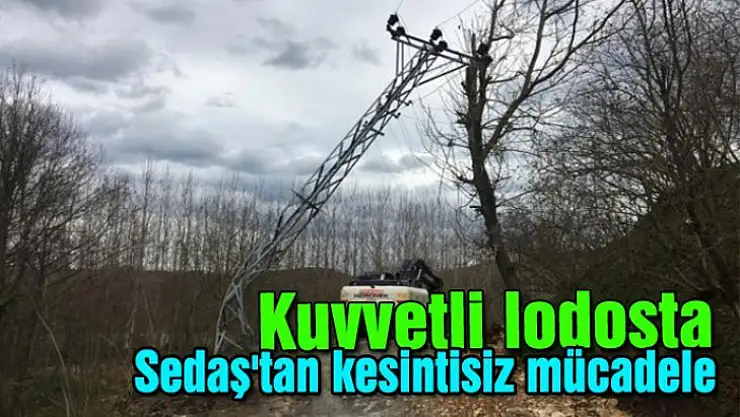 Kuvvetli lodosta Sedaş'tan kesintisiz mücadele!