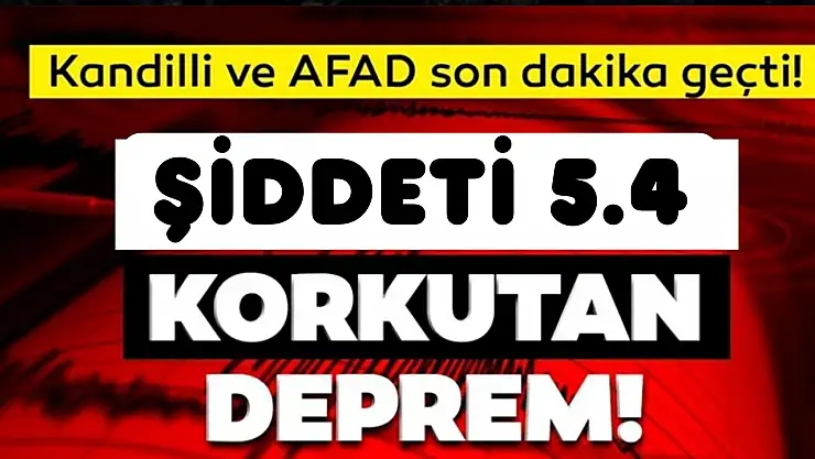 Şiddetli deprem! Kocaeli genelinde panik yarattı