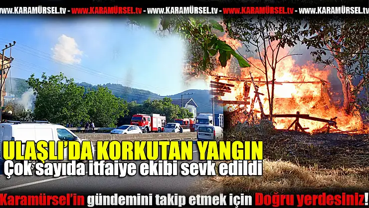 Ulaşlı'da çıkan yangın çevrede panik yarattı
