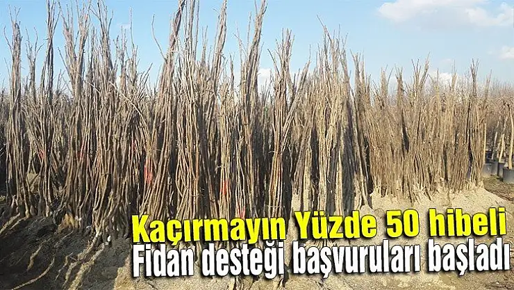 Yüzde 50 hibeli fidan desteği başvuruları başladı 