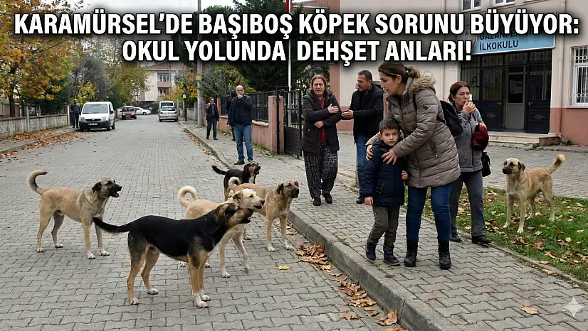 Anne ve Çocuklarına Köpek Sürüsü Saldırdı