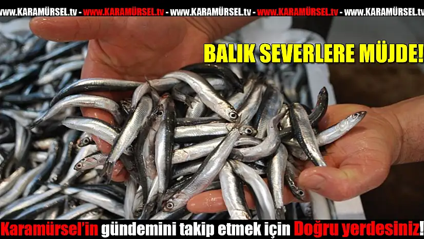 BALIK SEVERLERE MÜJDE!