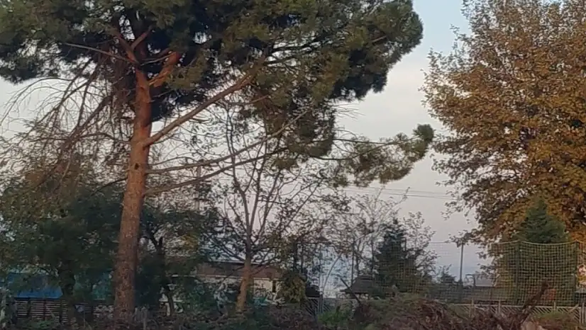 Ereğli'nin Kalbi Çöplüğe Dönüştü!