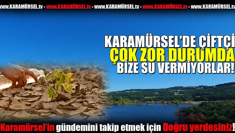 Karamürsel Çiftçisi Zor Durumda!