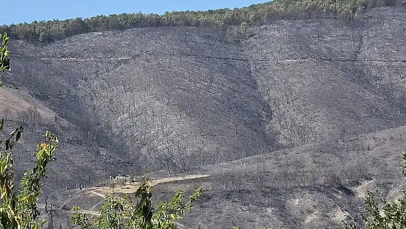 Karamürsel'de Kritik Gelişme Yasak Sona Erdi!