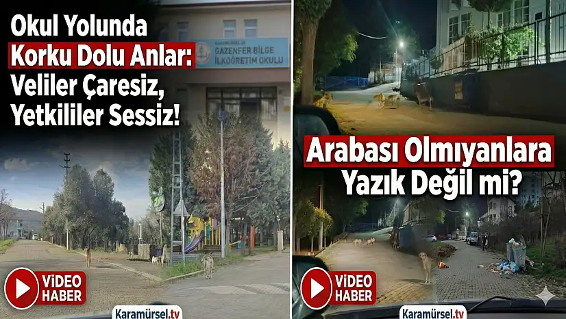 Karamürsel'de Okul Yolunda Büyük Tehlike