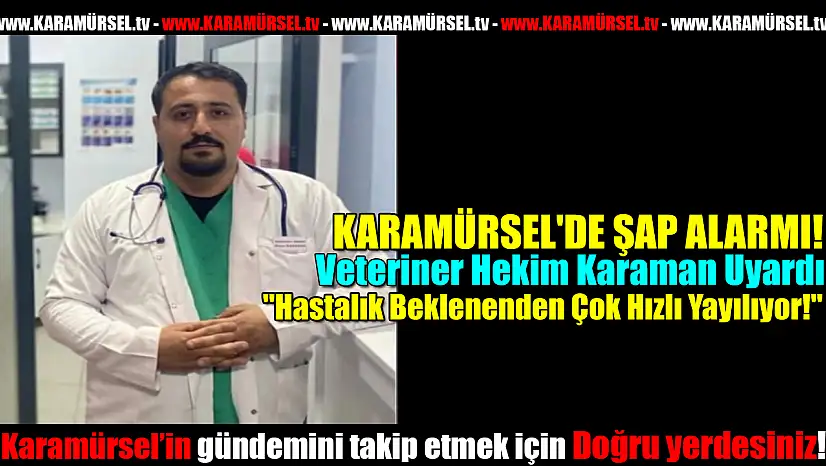 KARAMÜRSEL'DE ŞAP ALARMI!