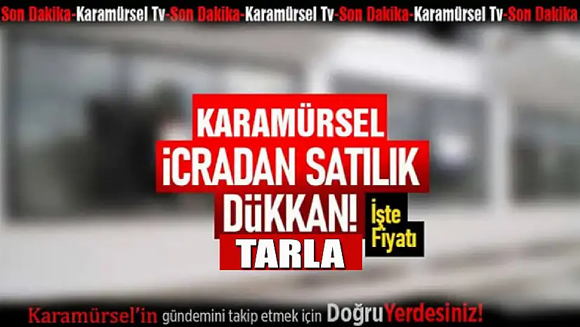 Karamürsel İcra Dairesi'nden İki Taşınmaz İhalesi!