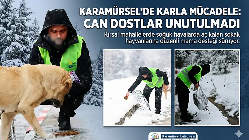 Karamürsel'in Yüksek Kesimlerinde Yürek Isıtan Görüntüler