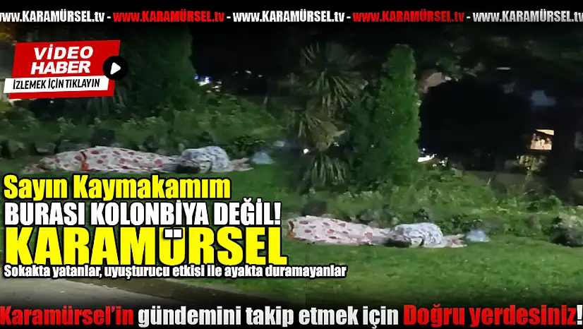 Karamürsel Sahilinde Endişe Veren Görüntüler