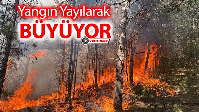 Orman Yangını Yerleşim Yerlerine Dayandı!