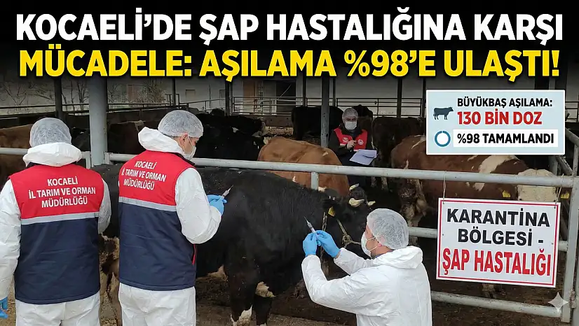 ŞAP TEHDİDİNE KARŞI DEV ÖNLEM