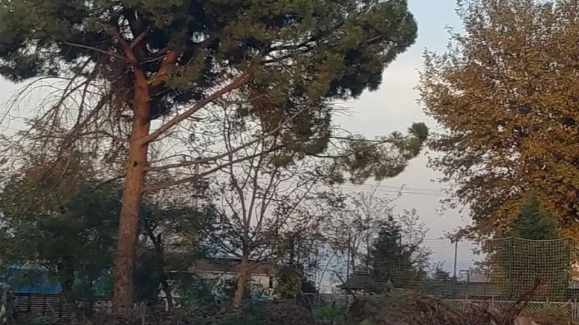 Ereğli'nin Kalbi Çöplüğe Dönüştü!