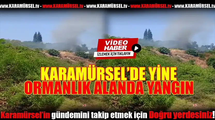 Karamürsel'de Korkutan Yangın!