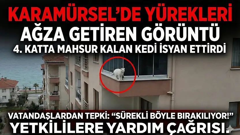 Karamürsel'de Yürekleri Ağza Getiren Görüntü!