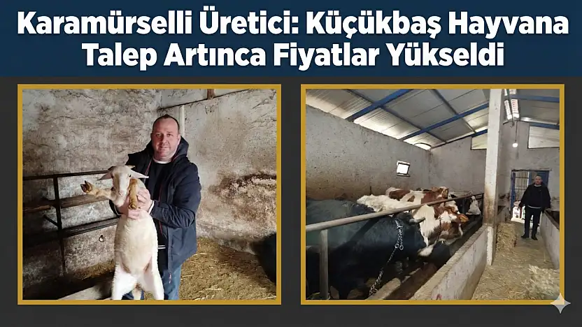 Karamürselli Et Üreticiden Piyaslizi