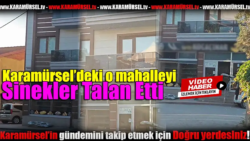 Sarıkum Mahallesi Sivrisinek İstilasına Uğradı!
