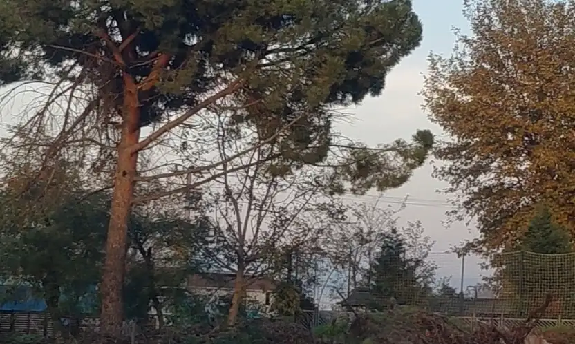 Ereğli'nin Kalbi Çöplüğe Dönüştü!