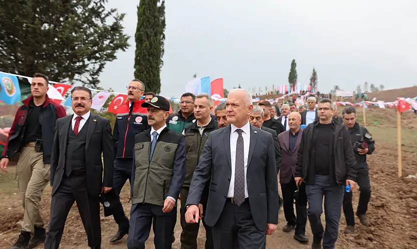 Karamürsel 3 Bin Fidanla Yeniden Hayat Buldu!