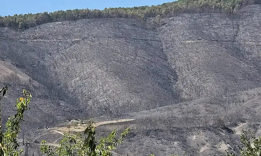 Karamürsel'de Kritik Gelişme Yasak Sona Erdi!