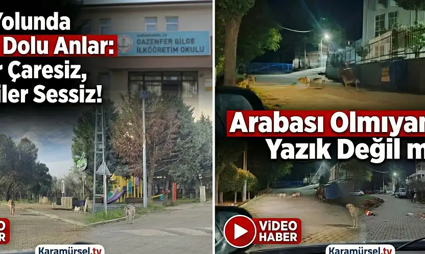 Karamürsel'de Okul Yolunda Büyük Tehlike