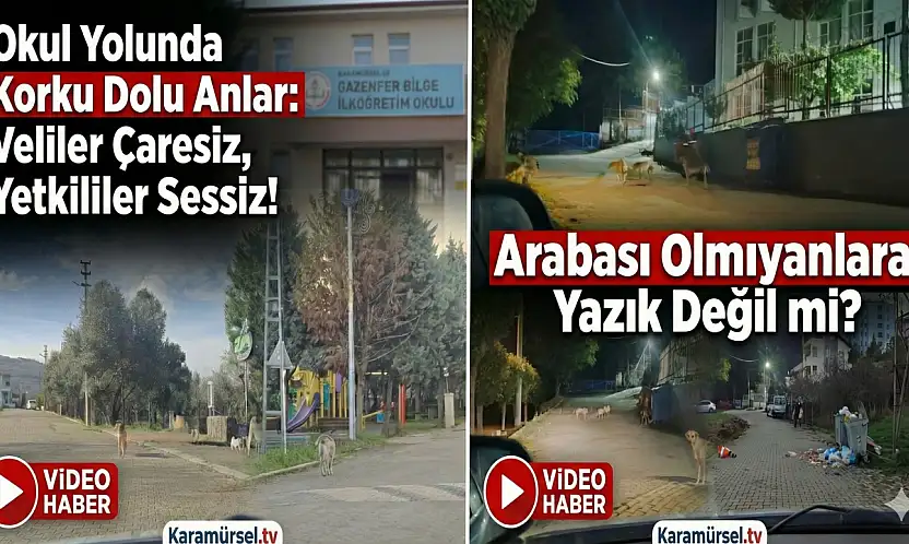 Karamürsel'de Okul Yolunda Büyük Tehlike