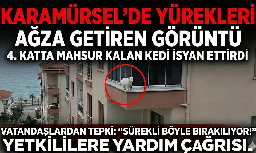 Karamürsel'de Yürekleri Ağza Getiren Görüntü!