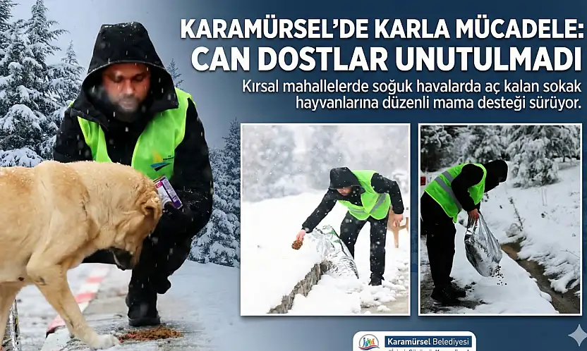 Karamürsel'in Yüksek Kesimlerinde Yürek Isıtan Görüntüler