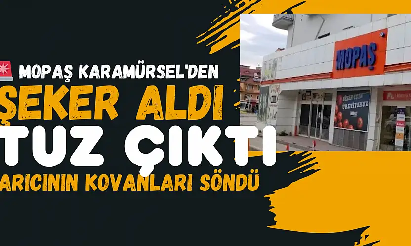 Mopaş'tan aldığı ürün arılarını öldürdü!