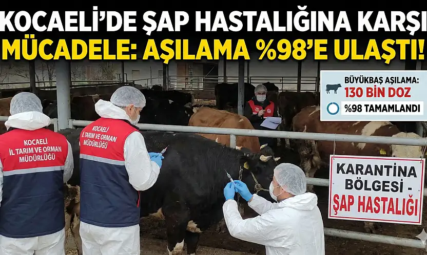 ŞAP TEHDİDİNE KARŞI DEV ÖNLEM